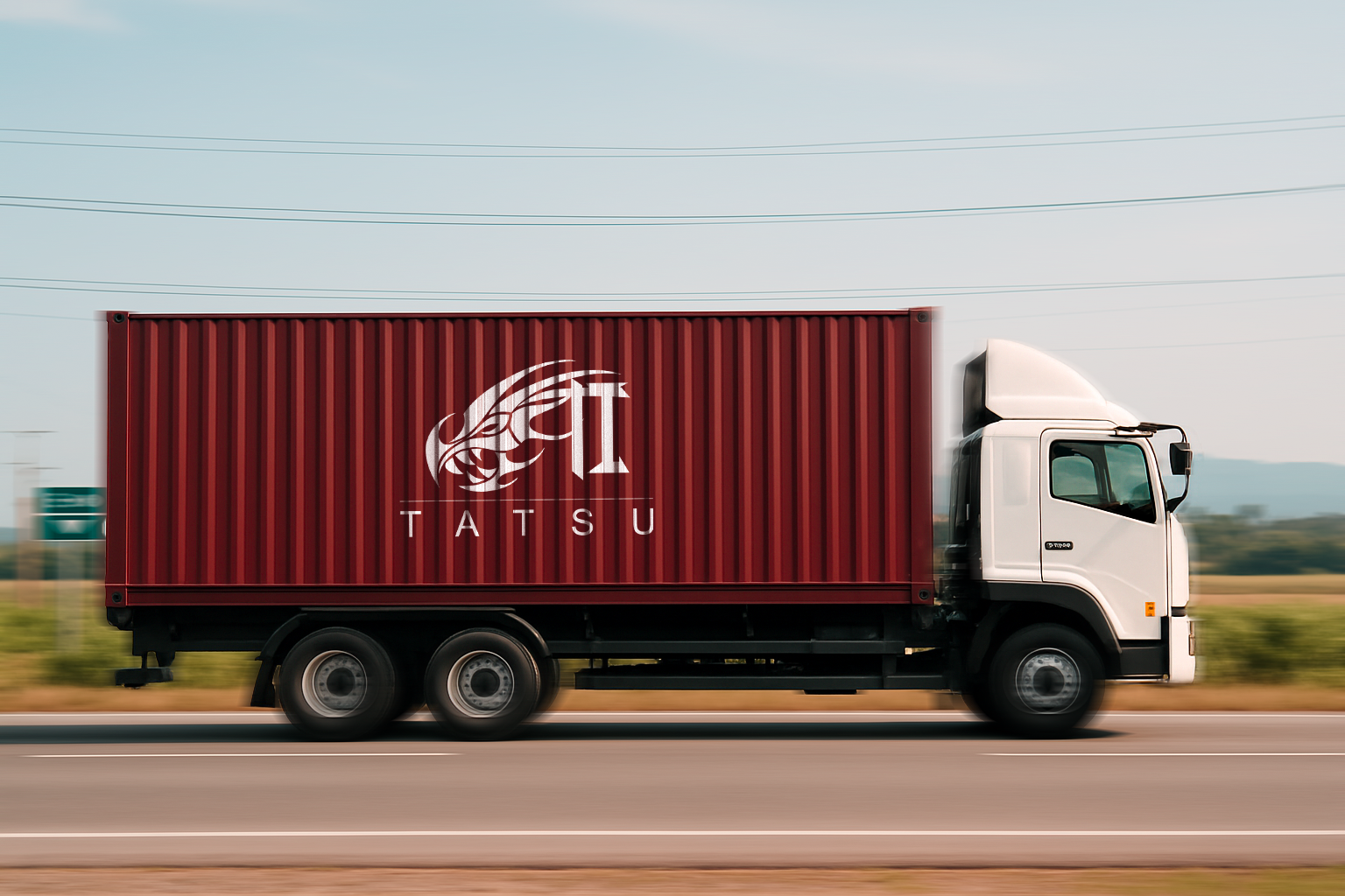 Tatsu logistics and distribution